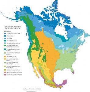 Level I Ecoregions of North America