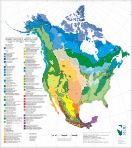 Level II Ecoregions of North America